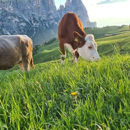 Alloggio per agriturismo Planitzhof