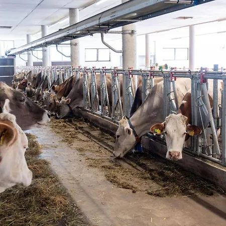 Gospodarstwo agroturystyczne Planitzhof *