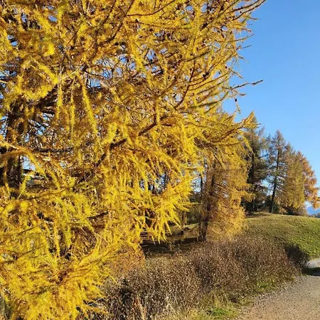 Alloggio per agriturismo Planitzhof *
