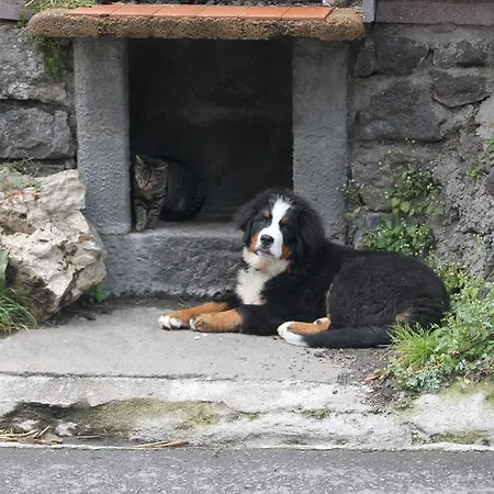 Alloggio per agriturismo Planitzhof *